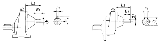 C斜齿轮减速机法输入轴图